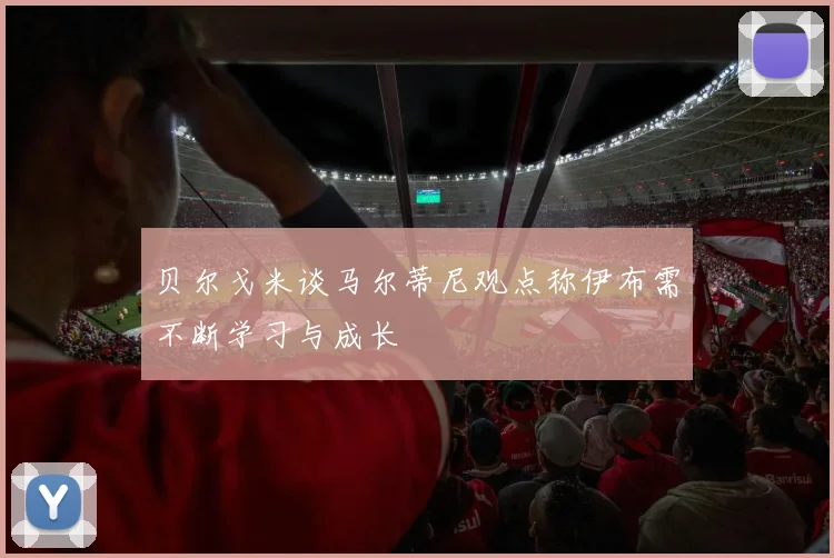 贝尔戈米谈马尔蒂尼观点称伊布需不断学习与成长