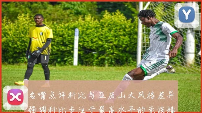 名嘴点评科比与亚历山大风格差异强调科比专注于最高水平的竞技精神