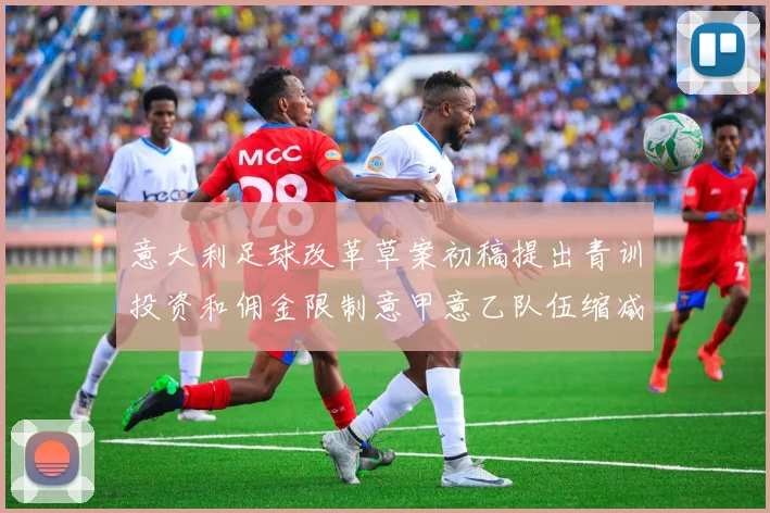 意大利足球改革草案初稿提出青训投资和佣金限制意甲意乙队伍缩减至18队