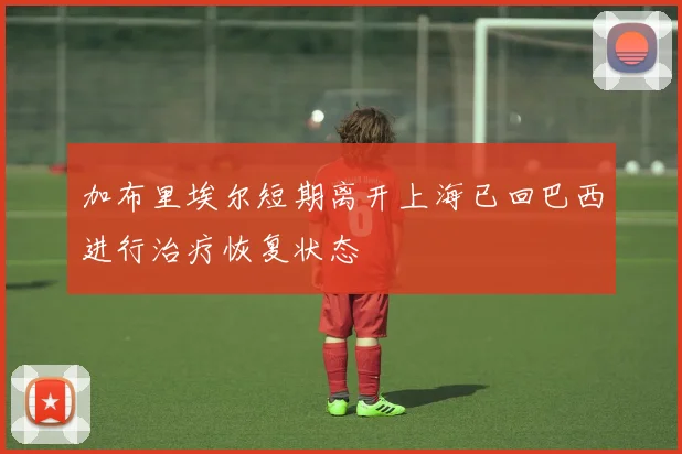 加布里埃尔短期离开上海已回巴西进行治疗恢复状态