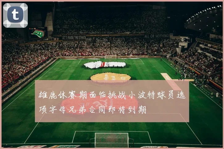 雄鹿休赛期面临挑战小波特球员选项字母兄弟合同即将到期